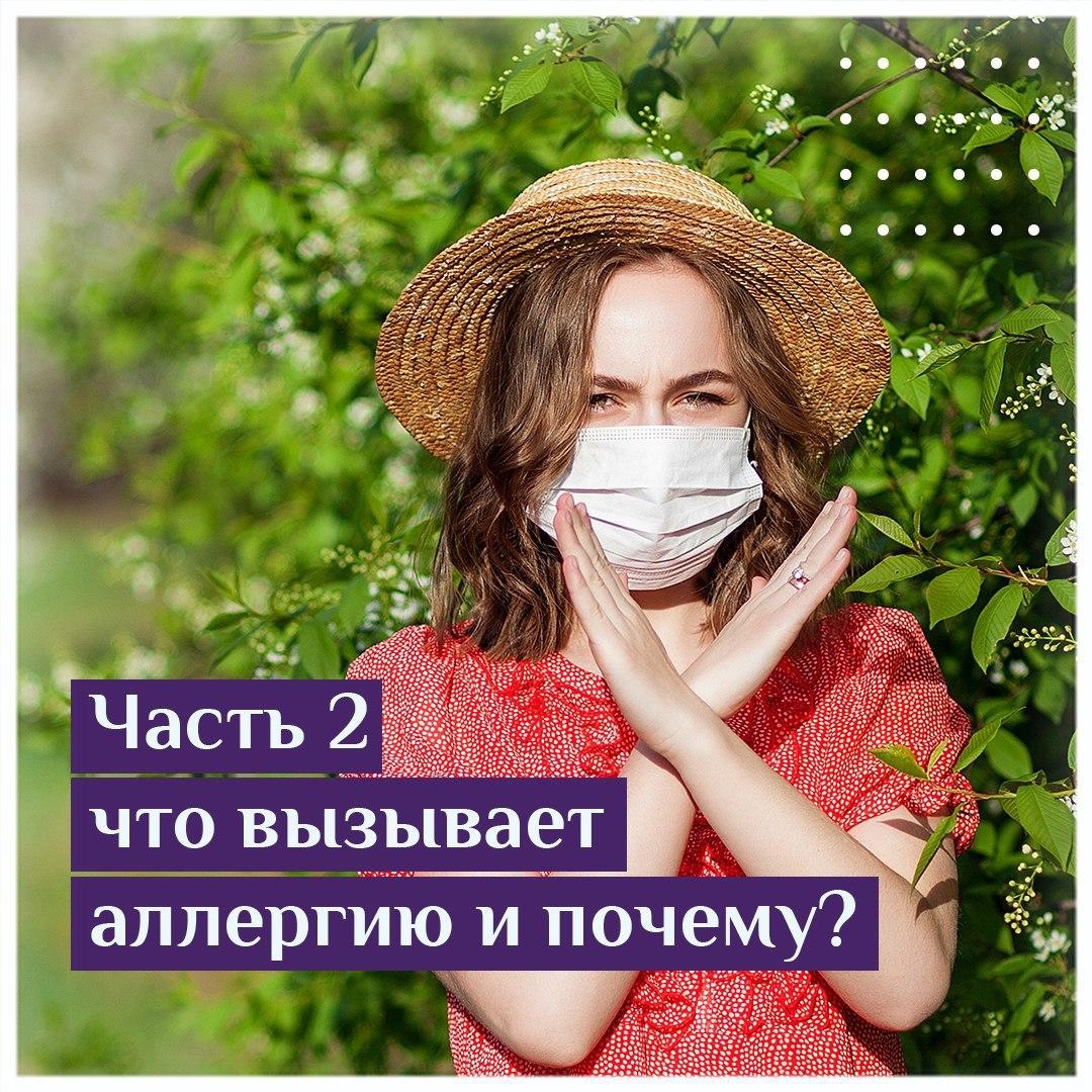 Часть 2 что вызывает аллергию и почему?